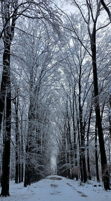 <i class='fa fa-user'></i>&nbsp;guidomwm&nbsp;|  Landschap Dr. Hartmannlaan&nbsp; <i class='fa fa-eye'>&nbsp;12</i> &nbsp; <i class='fa fa-comment-o'>&nbsp;0</i>