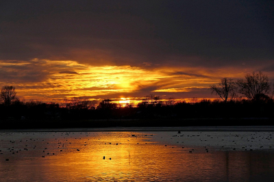 <i class='fa fa-user'></i>&nbsp;frbeuming&nbsp;|  Zonsondergang&nbsp; <i class='fa fa-eye'>&nbsp;27</i> &nbsp;<i class='fa fa-thumbs-up'>&nbsp;1</i> &nbsp; <i class='fa fa-comment-o'>&nbsp;0</i>