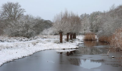 <i class='fa fa-user'></i>&nbsp;Tineke Strijbosch&nbsp;|  Winter in De Landjes&nbsp; <i class='fa fa-eye'>&nbsp;21</i> &nbsp;<i class='fa fa-thumbs-up'>&nbsp;2</i> &nbsp; <i class='fa fa-comment-o'>&nbsp;2</i>