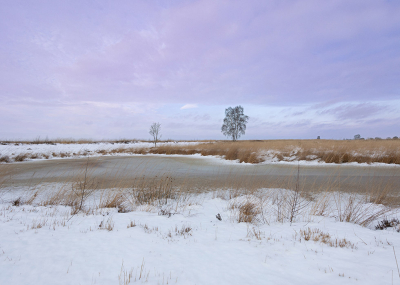 <i class='fa fa-user'></i>&nbsp;Tom&nbsp;|  Engbertsdijksvenen&nbsp; <i class='fa fa-eye'>&nbsp;9</i> &nbsp; <i class='fa fa-comment-o'>&nbsp;0</i>