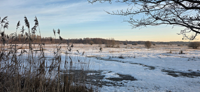 <i class='fa fa-user'></i>&nbsp;guidomwm&nbsp;|  Landschap met sneeuw&nbsp; <i class='fa fa-eye'>&nbsp;46</i> &nbsp; <i class='fa fa-comment-o'>&nbsp;3</i>
