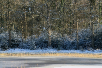 xxxxxxxxxxxxxxxxxxxxxxxxxxxxxxxxxxxxxxxxxxxxxxxxxxxxxxxxxxxxxxxxxxxxxxxxxxxxxxxxxxxxxxxxxxxxxxxxxxxxxxxxxxxxxxxxxxxxxxxxxxxxxxxxxxxxxxxxxxxxxxxxxxxxxx