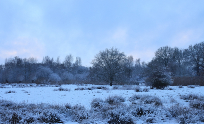 <i class='fa fa-user'></i>&nbsp;Tineke Strijbosch&nbsp;|  Winter in De Landjes (2)&nbsp; <i class='fa fa-eye'>&nbsp;14</i> &nbsp; <i class='fa fa-comment-o'>&nbsp;0</i>