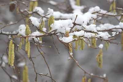 <i class='fa fa-user'></i>&nbsp;Paul Vandebroek&nbsp;|  Hazelaar&nbsp; <i class='fa fa-eye'>&nbsp;30</i> &nbsp; <i class='fa fa-comment-o'>&nbsp;2</i>