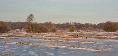 <i class='fa fa-user'></i>&nbsp;guidomwm&nbsp;|  Landschap met sneeuw en ijs&nbsp; <i class='fa fa-eye'>&nbsp;54</i> &nbsp;<i class='fa fa-thumbs-up'>&nbsp;1</i> &nbsp; <i class='fa fa-comment-o'>&nbsp;4</i>