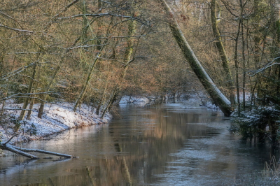 <i class='fa fa-user'></i>&nbsp;boerke&nbsp;|  Landgoed Twickel&nbsp; <i class='fa fa-eye'>&nbsp;54</i> &nbsp; <i class='fa fa-comment-o'>&nbsp;5</i>