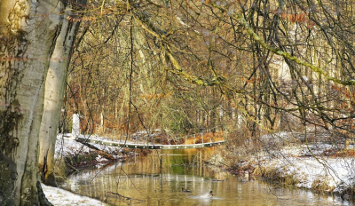 <i class='fa fa-user'></i>&nbsp;hesterb&nbsp;|  Ochtend met wat sneeuw&nbsp; <i class='fa fa-eye'>&nbsp;47</i> &nbsp; <i class='fa fa-comment-o'>&nbsp;0</i>