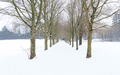 In verband met de verwachtte sneeuwval had ik me een paar uurtjes verlof gepakt en met de bus retour van Maastricht naar Vaals.

Niet de sneeuwval zoals op andere plekken in Nederland, maar toch genoeg om enkele leuke plaatjes te maken.

Hier in een lokaal park in Vaals.

Uit de hand.
