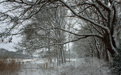 <i class='fa fa-user'></i>&nbsp;Tineke Strijbosch&nbsp;|  Beekdallandschap het Messchenveld in de sneeuw&nbsp; <i class='fa fa-eye'>&nbsp;28</i> &nbsp; <i class='fa fa-comment-o'>&nbsp;1</i>