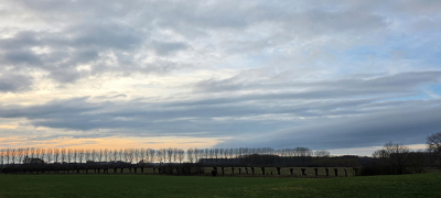 <i class='fa fa-user'></i>&nbsp;guidomwm&nbsp;|  Landschap met Wilgen&nbsp; <i class='fa fa-eye'>&nbsp;39</i> &nbsp; <i class='fa fa-comment-o'>&nbsp;5</i>