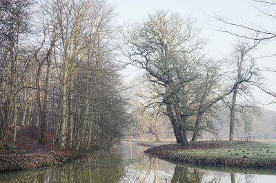 <i class='fa fa-user'></i>&nbsp;hesterb&nbsp;|  In winterse neveligheid&nbsp; <i class='fa fa-eye'>&nbsp;21</i> &nbsp; <i class='fa fa-comment-o'>&nbsp;1</i>