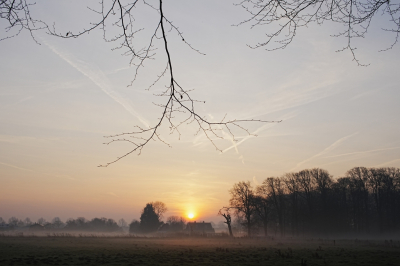 <i class='fa fa-user'></i>&nbsp;hesterb&nbsp;|  Nevelige zon&nbsp; <i class='fa fa-eye'>&nbsp;20</i> &nbsp; <i class='fa fa-comment-o'>&nbsp;0</i>