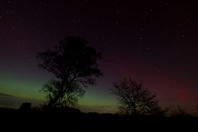 <i class='fa fa-user'></i>&nbsp;Gert-Jan Cromwijk&nbsp;|  Noorderlicht&nbsp; <i class='fa fa-eye'>&nbsp;26</i> &nbsp;<i class='fa fa-thumbs-up'>&nbsp;3</i> &nbsp; <i class='fa fa-comment-o'>&nbsp;5</i>