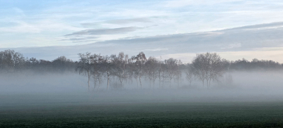 <i class='fa fa-user'></i>&nbsp;guidomwm&nbsp;|  Landschap met verdwijnende ochtendmist&nbsp; <i class='fa fa-eye'>&nbsp;12</i> &nbsp; <i class='fa fa-comment-o'>&nbsp;2</i>