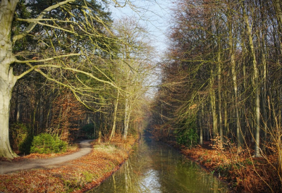 <i class='fa fa-user'></i>&nbsp;hesterb&nbsp;|  Zon en schaduwzijde&nbsp; <i class='fa fa-eye'>&nbsp;54</i> &nbsp; <i class='fa fa-comment-o'>&nbsp;5</i>