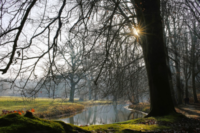 <i class='fa fa-user'></i>&nbsp;hesterb&nbsp;|  Tegenover vorige foto&nbsp; <i class='fa fa-eye'>&nbsp;46</i> &nbsp; <i class='fa fa-comment-o'>&nbsp;2</i>