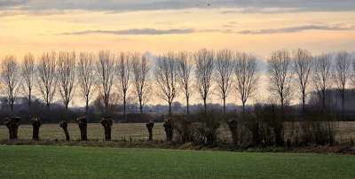 <i class='fa fa-user'></i>&nbsp;guidomwm&nbsp;|  Landschap met wilgen&nbsp; <i class='fa fa-eye'>&nbsp;5</i> &nbsp; <i class='fa fa-comment-o'>&nbsp;0</i>