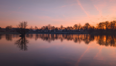 <i class='fa fa-user'></i>&nbsp;Jurgen Maassen&nbsp;|  Vijver voor zonsopkomst&nbsp; <i class='fa fa-eye'>&nbsp;20</i> &nbsp; <i class='fa fa-comment-o'>&nbsp;0</i>