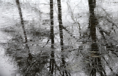 <i class='fa fa-user'></i>&nbsp;nelappelmelk&nbsp;|  IJzig&nbsp; <i class='fa fa-eye'>&nbsp;19</i> &nbsp; <i class='fa fa-comment-o'>&nbsp;1</i>