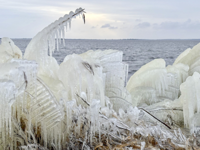 <i class='fa fa-user'></i>&nbsp;Jacolienl&nbsp;|  IJs sculpturen&nbsp; <i class='fa fa-eye'>&nbsp;36</i> &nbsp; <i class='fa fa-comment-o'>&nbsp;3</i>