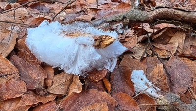 <i class='fa fa-user'></i>&nbsp;guidomwm&nbsp;|  IJshaar&nbsp; <i class='fa fa-eye'>&nbsp;9</i> &nbsp; <i class='fa fa-comment-o'>&nbsp;0</i>