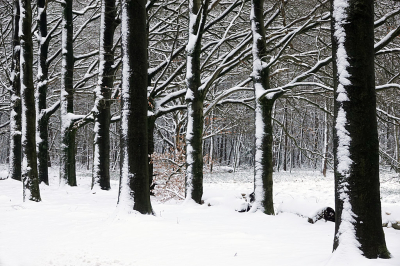 <i class='fa fa-user'></i>&nbsp;nelappelmelk&nbsp;|  Winterse omstandigheden&nbsp; <i class='fa fa-eye'>&nbsp;14</i> &nbsp; <i class='fa fa-comment-o'>&nbsp;0</i>