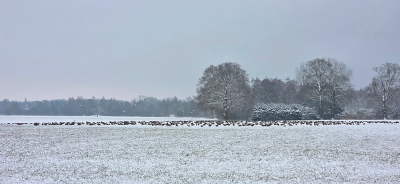 <i class='fa fa-user'></i>&nbsp;guidomwm&nbsp;|  Landschap met Sneeuw&nbsp; <i class='fa fa-eye'>&nbsp;33</i> &nbsp; <i class='fa fa-comment-o'>&nbsp;2</i>
