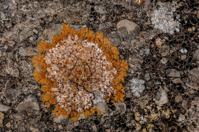 <i class='fa fa-user'></i>&nbsp;Johan van Gurp&nbsp;|  Sinaasappelkorst&nbsp; <i class='fa fa-eye'>&nbsp;7</i> &nbsp; <i class='fa fa-comment-o'>&nbsp;0</i>