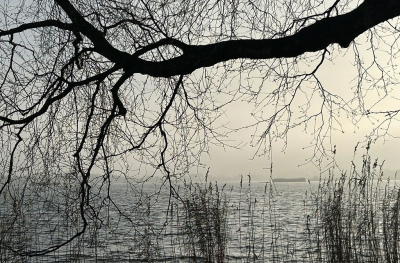 <i class='fa fa-user'></i>&nbsp;B.M.Schouten-Ruis&nbsp;|  Reeuwijkse Plas&nbsp; <i class='fa fa-eye'>&nbsp;45</i> &nbsp; <i class='fa fa-comment-o'>&nbsp;4</i>