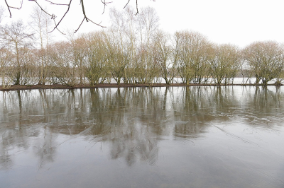 <i class='fa fa-user'></i>&nbsp;frbeuming&nbsp;|  Ennemaborg natuurplas&nbsp; <i class='fa fa-eye'>&nbsp;10</i> &nbsp; <i class='fa fa-comment-o'>&nbsp;0</i>