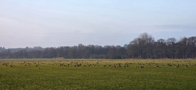 <i class='fa fa-user'></i>&nbsp;guidomwm&nbsp;|  Landschap in de vroege morgen&nbsp; <i class='fa fa-eye'>&nbsp;22</i> &nbsp; <i class='fa fa-comment-o'>&nbsp;0</i>