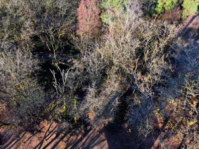 <i class='fa fa-user'></i>&nbsp;nelappelmelk&nbsp;|  Uit de hoogte&nbsp; <i class='fa fa-eye'>&nbsp;32</i> &nbsp; <i class='fa fa-comment-o'>&nbsp;0</i>