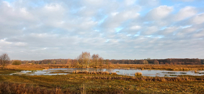 <i class='fa fa-user'></i>&nbsp;guidomwm&nbsp;|  Landschap bij zonnige morgen&nbsp; <i class='fa fa-eye'>&nbsp;15</i> &nbsp; <i class='fa fa-comment-o'>&nbsp;2</i>