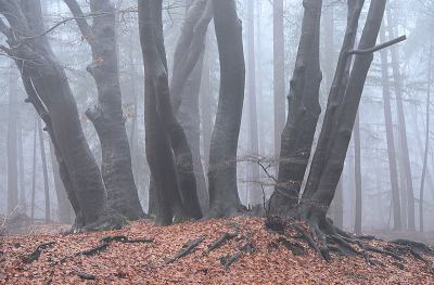 <i class='fa fa-user'></i>&nbsp;Eric Gibcus&nbsp;|  Beuk&nbsp; <i class='fa fa-eye'>&nbsp;12</i> &nbsp; <i class='fa fa-comment-o'>&nbsp;0</i>