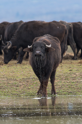 <i class='fa fa-user'></i>&nbsp;Willem Verhagen&nbsp;|  Karbouw&nbsp; <i class='fa fa-eye'>&nbsp;18</i> &nbsp; <i class='fa fa-comment-o'>&nbsp;0</i>