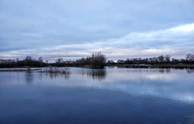 <i class='fa fa-user'></i>&nbsp;nelappelmelk&nbsp;|  Rustgevend&nbsp; <i class='fa fa-eye'>&nbsp;2</i> &nbsp; <i class='fa fa-comment-o'>&nbsp;0</i>