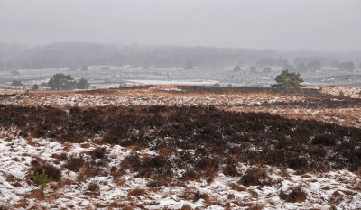 <i class='fa fa-user'></i>&nbsp;nelappelmelk&nbsp;|  Winters landschap&nbsp; <i class='fa fa-eye'>&nbsp;27</i> &nbsp; <i class='fa fa-comment-o'>&nbsp;2</i>