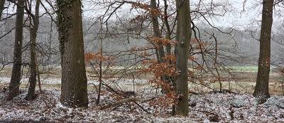 <i class='fa fa-user'></i>&nbsp;guidomwm&nbsp;|  Winter langs de weg&nbsp; <i class='fa fa-eye'>&nbsp;16</i> &nbsp; <i class='fa fa-comment-o'>&nbsp;1</i>