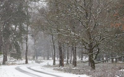 <i class='fa fa-user'></i>&nbsp;David&nbsp;|  Sneeuw&nbsp; <i class='fa fa-eye'>&nbsp;8</i> &nbsp; <i class='fa fa-comment-o'>&nbsp;2</i>