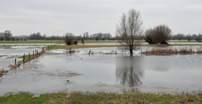 <i class='fa fa-user'></i>&nbsp;nelappelmelk&nbsp;|  Hoog water&nbsp; <i class='fa fa-eye'>&nbsp;44</i> &nbsp;<i class='fa fa-thumbs-up'>&nbsp;1</i> &nbsp; <i class='fa fa-comment-o'>&nbsp;0</i>