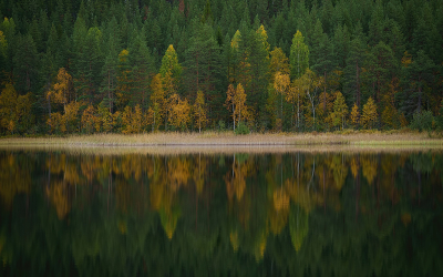 De meertjes waren een mooi onderwerp, vooral als het windstil was. Mooie herfstkleuren zorgen voor extra sfeer. Genieten was het in Finland... en genieten moet je elke dag. 

2 weken erna werd ik getroffen door een flinke longembolie en kon ik het bijna niet meer navertellen/vertonen.