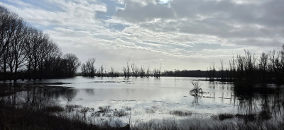 <i class='fa fa-user'></i>&nbsp;guidomwm&nbsp;|  Landschap met onder water gelopen land&nbsp; <i class='fa fa-eye'>&nbsp;4</i> &nbsp; <i class='fa fa-comment-o'>&nbsp;0</i>
