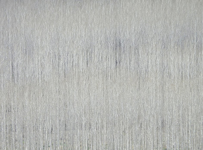 <i class='fa fa-user'></i>&nbsp;sieb&nbsp;|  Vanaf de berg gezien&nbsp; <i class='fa fa-eye'>&nbsp;33</i> &nbsp; <i class='fa fa-comment-o'>&nbsp;4</i>