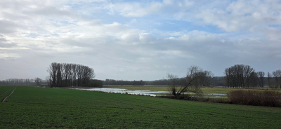 <i class='fa fa-user'></i>&nbsp;guidomwm&nbsp;|  Landschap met hoge bomen en water&nbsp; <i class='fa fa-eye'>&nbsp;9</i> &nbsp; <i class='fa fa-comment-o'>&nbsp;0</i>