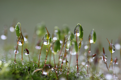 <i class='fa fa-user'></i>&nbsp;Paul Vandebroek&nbsp;|  Druppels&nbsp; <i class='fa fa-eye'>&nbsp;4</i> &nbsp; <i class='fa fa-comment-o'>&nbsp;1</i>