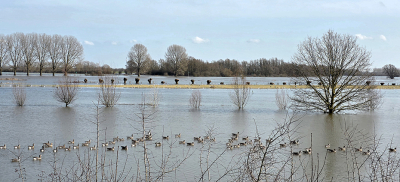 <i class='fa fa-user'></i>&nbsp;guidomwm&nbsp;|  IJssel hoog water&nbsp; <i class='fa fa-eye'>&nbsp;20</i> &nbsp; <i class='fa fa-comment-o'>&nbsp;2</i>