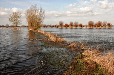 <i class='fa fa-user'></i>&nbsp;nelappelmelk&nbsp;|  Hoog water&nbsp; <i class='fa fa-eye'>&nbsp;9</i> &nbsp; <i class='fa fa-comment-o'>&nbsp;0</i>