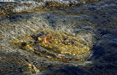 <i class='fa fa-user'></i>&nbsp;Nel R&nbsp;|  Stroming&nbsp; <i class='fa fa-eye'>&nbsp;21</i> &nbsp;<i class='fa fa-thumbs-up'>&nbsp;2</i> &nbsp; <i class='fa fa-comment-o'>&nbsp;2</i>