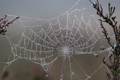 <i class='fa fa-user'></i>&nbsp;Paul Vandebroek&nbsp;|  Druppels&nbsp; <i class='fa fa-eye'>&nbsp;19</i> &nbsp;<i class='fa fa-thumbs-up'>&nbsp;1</i> &nbsp; <i class='fa fa-comment-o'>&nbsp;2</i>