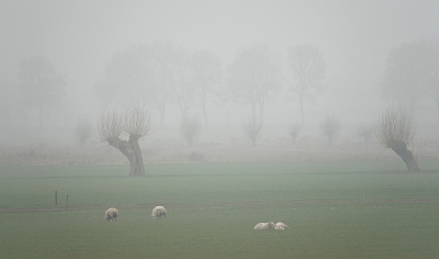 <i class='fa fa-user'></i>&nbsp;sieb&nbsp;|  Landschap in de mist&nbsp; <i class='fa fa-eye'>&nbsp;16</i> &nbsp;<i class='fa fa-thumbs-up'>&nbsp;2</i> &nbsp; <i class='fa fa-comment-o'>&nbsp;2</i>